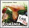 Stamps_of_Romania%2C_2008-02.jpg