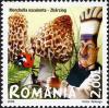 Stamps_of_Romania%2C_2008-03.jpg