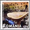 Stamps_of_Romania%2C_2008-04.jpg
