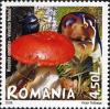 Stamps_of_Romania%2C_2008-06.jpg