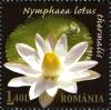 Stamps_of_Romania%2C_2008-74.jpg