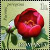 Stamps_of_Romania%2C_2011-47.jpg