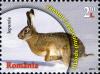 Stamps_of_Romania%2C_2013-58.jpg