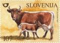Colnect-703-191-Farm-animals---Cika-Cattle.jpg