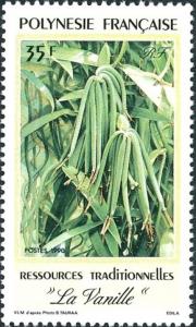 Colnect-3226-542-Vanilla-young-plant.jpg