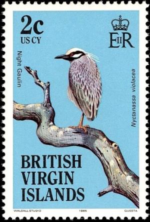 Colnect-2650-330-Yellow-crowned-Night-Heron-Nyctanassa-violacea.jpg