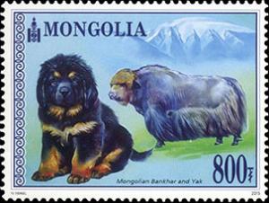 Colnect-2845-149-Mongolian-Bankhar-Canis-lupus-familiaris-Yak-Bos-grunnie.jpg