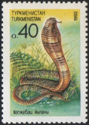 Stamp_of_Turkmenistan_1992_c.jpg