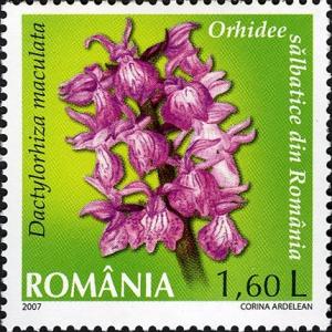 Stamps_of_Romania%2C_2007-020.jpg