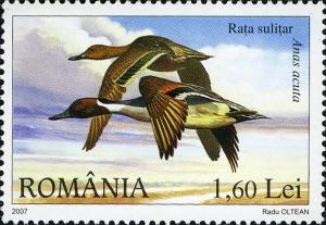 Stamps_of_Romania%2C_2007-059.jpg