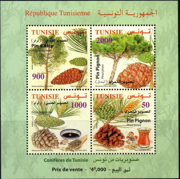 Colnect-4023-416-Conifers-of-Tunisia.jpg