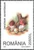 Stamps_of_Romania%2C_2003-57.jpg
