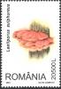 Stamps_of_Romania%2C_2003-58.jpg