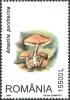 Stamps_of_Romania%2C_2003-56.jpg