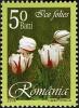 Stamps_of_Romania%2C_2006-036.jpg