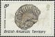 Colnect-1590-764-Ammonite-Sanmartinoceras.jpg