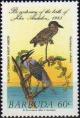 Colnect-2056-918-Yellow-crowned-Night-Heron-Nyctanassa-violacea.jpg