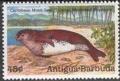 Colnect-1953-788-Caribbean-Monk-Seal-Monachus-tropicalis.jpg