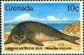 Colnect-2172-447-Caribban-Monk-Seal-Monachus-tropicalis.jpg