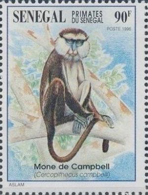 Colnect-2199-419-Campbell-s-Monkey-Cercopithecus-campbelli.jpg