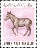 Colnect-4058-585-Donkey-Equus-asinus.jpg