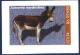 Colnect-1985-995-Jegue-Donkey-Equus-asinus-asinus.jpg