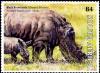 Colnect-2824-732-Black-Rhinoceros-Diceros-bicornis.jpg