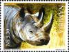 Colnect-3063-324-Black-Rhinoceros-Diceros-bicornis.jpg