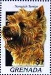 Colnect-4581-347-Norwich-terrier.jpg