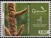 Colnect-5843-041-Quinoa-Chenopodium-sp.jpg