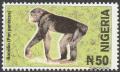 Colnect-5207-022-Bonobo-Pan-paniscus.jpg