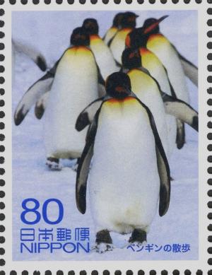Colnect-4143-551-King-Penguins-Aptenodytes-Patagonicus-Asahikawa-Zoo.jpg