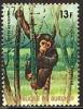 Colnect-981-010-Bonobo-Pan-paniscus.jpg
