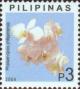 Colnect-2895-286-Phalaenopsis-philippinensis.jpg
