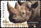 Colnect-6285-961-Black-Rhinoceros-Diceros-bicornis.jpg
