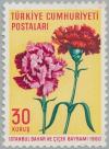 Colnect-2576-438-Carnations-Dianthus-caryophyllus.jpg