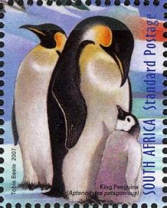 Colnect-5565-826-King-Penguins-Aptenodytes-patagonicus.jpg