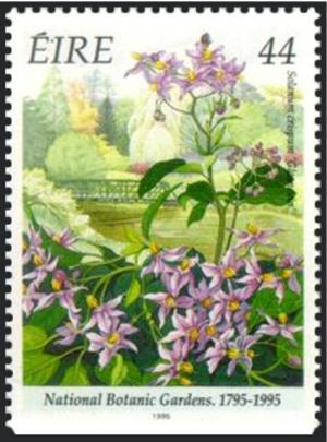 Colnect-1787-577-National-Botanic-Gardens-1795-1995---Solanum-crispum--Glasve.jpg