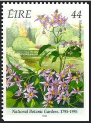 Colnect-1787-578-National-Botanic-Gardens-1795-1995---Solanum-crispum--Glasve.jpg