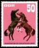 Colnect-1975-060-Stallions-Equus-ferus-caballus.jpg