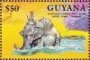 Colnect-1667-357-Working-Elephant---Thailand-Elephas-maximus.jpg
