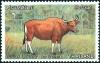 Colnect-3197-318-Banteng-Bos-banteng.jpg