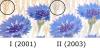 Colnect-3790-140-Cornflower-Centaurea-cyanus---type-I-back.jpg