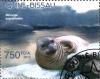 Colnect-3946-124-Northern-Elephant-Seal-Mirounga-angustirostris.jpg