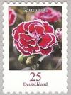 Colnect-580-217-Dianthus---Carnation.jpg