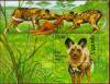 Colnect-5951-394-Cape-Hunting-Dog-Lycaon-pictus.jpg