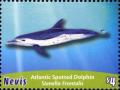 Colnect-3706-342-Atlantic-spotted-dolphin.jpg