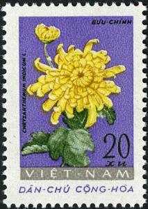 Colnect-5494-216-Chrysanthemum-chrysanthemum.jpg