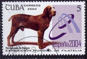 Colnect-1275-670-Spanish-Pointer-Canis-lupus-familiaris.jpg