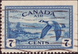 Colnect-2604-351-Canada-geese-Branta-canadensis-near-Sudbury-Ont.jpg